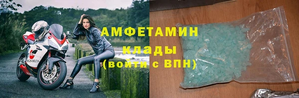 прущие грибы Зерноград