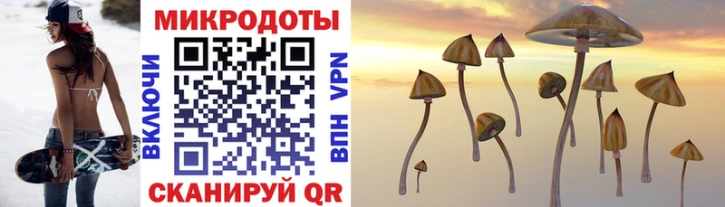 Галлюциногенные грибы ЛСД  Полярный 